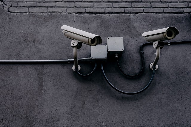 Seguridad y Vigilancia